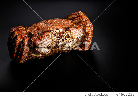 Food banner. Delicious seafood. Red crab on black 64603235