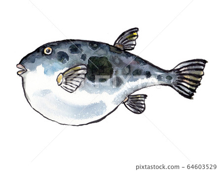 Watercolor illustration 64603529