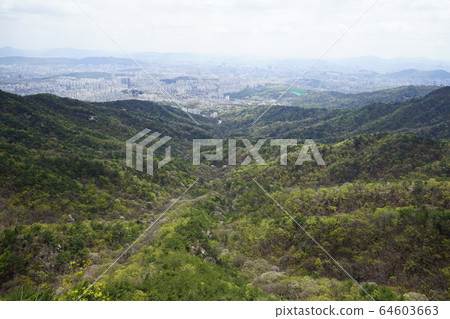 Bukhansan. National Park. Spring 64603663