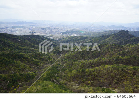 Bukhansan. National Park. Spring 64603664