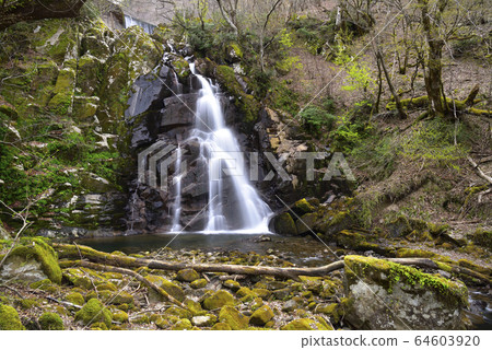 Hitotaki (Hidaka Town, Toyooka City, Hyogo Prefecture) Hitotaki (Hidaka Town, Toyooka City, Hyogo Prefecture) 64603920
