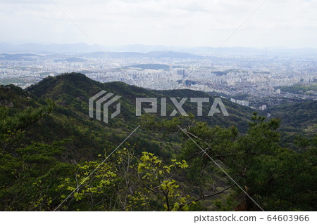 Bukhansan. National Park. Spring 64603966