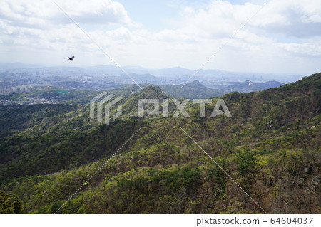Bukhansan. National Park. Spring 64604037