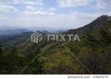 Bukhansan. National Park. Spring Flowers Bukhansan. National Park. Spring Flowers 64604254