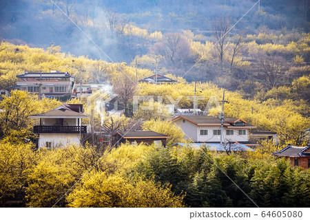 全羅南道求禮郡Sansuyu村的景觀 64605080