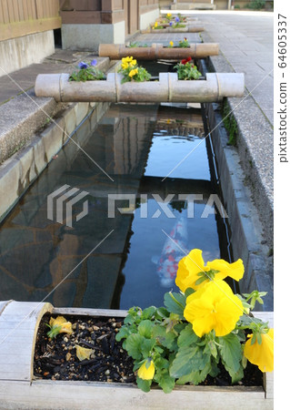 Ozu Ohana Street 64605337