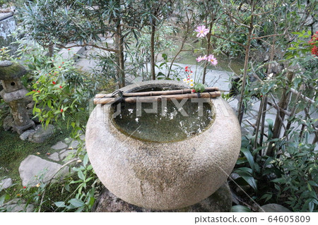 Wolong Mountain Villa in autumn colors Wolong Mountain Villa in autumn colors 64605809