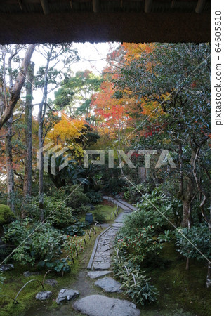 Wolong Mountain Villa in autumn colors Wolong Mountain Villa in autumn colors 64605810