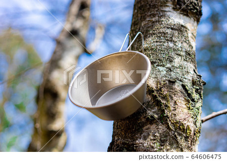 Camping material: Shera cup hanging on a tree Camping material: Shera cup hanging on a tree 64606475