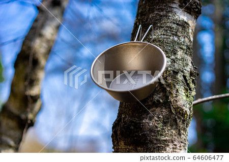 露營材料：謝拉杯掛在樹上 64606477