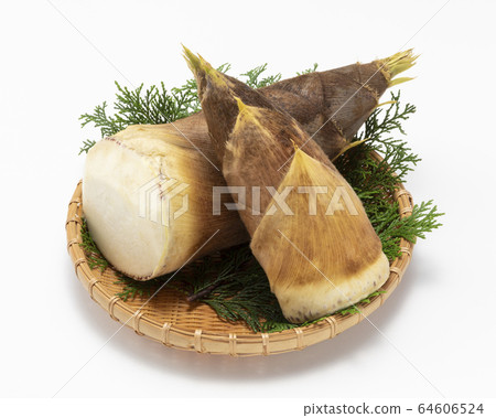 bambooshoot bambooshoot 64606524