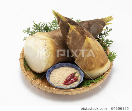 bambooshoot bambooshoot 64606525