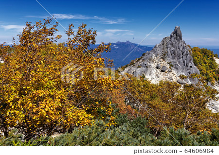 Yellow leaves of Phoenix and Mt. 64606984