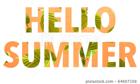 Hello summer written by peach background with leaves. Hello summer written by peach background with leaves. 64607108