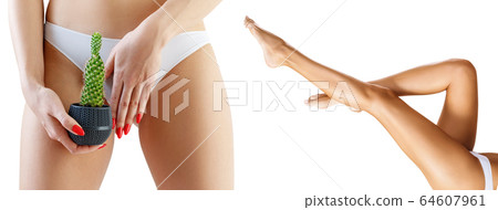 Collage of woman with cactus near panties and legs. 64607961