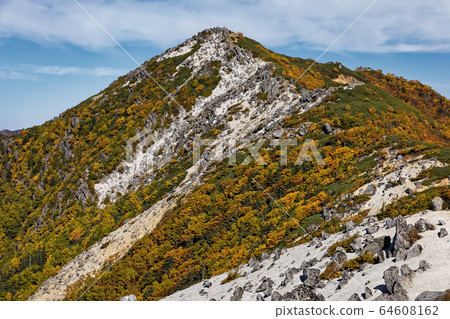 從南阿爾卑斯山，鳳凰三山，藥師大湖看的觀音岳 64608162