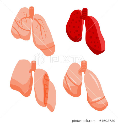 Lung icons set, isometric style Lung icons set, isometric style 64608780