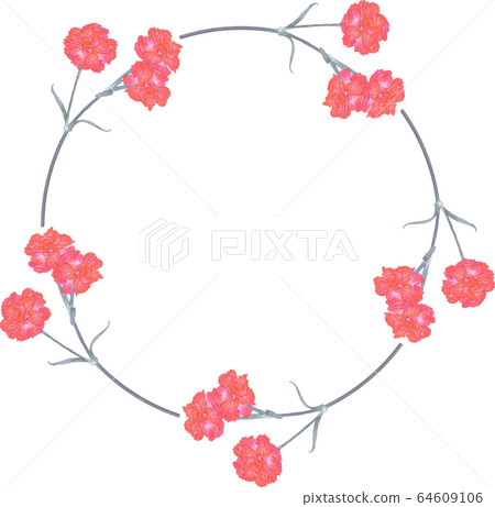Carnation circle Carnation circle 64609106