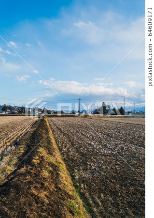 燒田後的稻田:北安住郡池田町安mino野市 燒田後的稻田:北安住郡池田町安mino野市 64609171