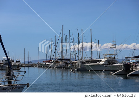Lahaina Harbor in Autumn (Maui) 64610128