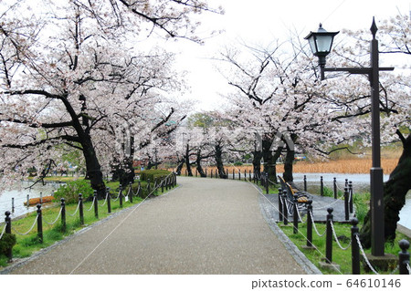 Emergency declaration Emergency declaration 64610146