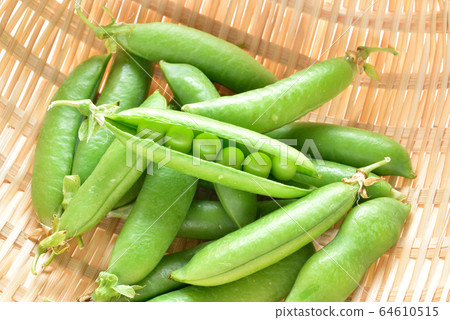 Fresh image of green peas Sayaendo fresh vegetables Fresh image of green peas Sayaendo fresh vegetables 64610515