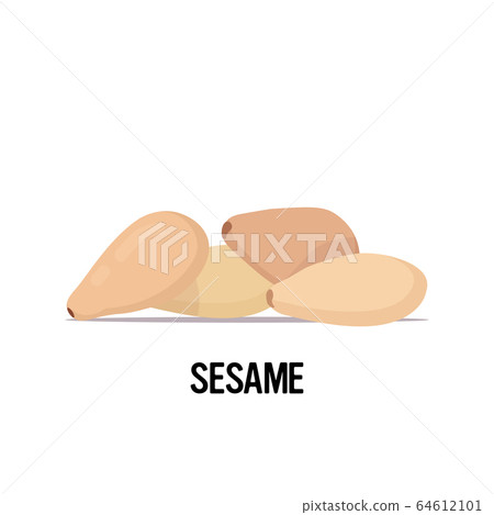 sesame seeds organic healthy vegetarian food on white background sesame seeds organic healthy vegetarian food on white background 64612101