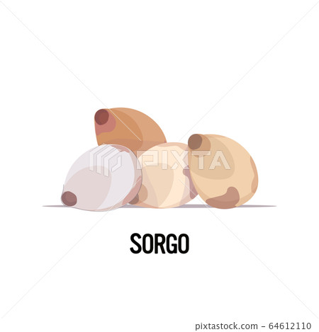 sorgo seeds organic healthy vegetarian food on white background sorgo seeds organic healthy vegetarian food on white background 64612110