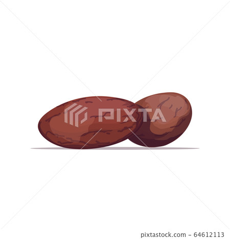 cocoa beans organic healthy vegetarian food on white background cocoa beans organic healthy vegetarian food on white background 64612113