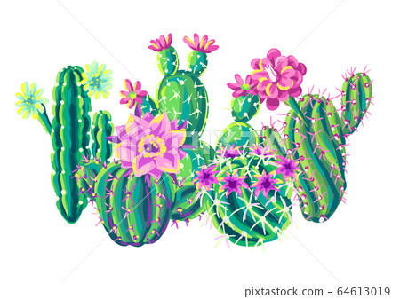 Background with cacti and flowers. Background with cacti and flowers. 64613019
