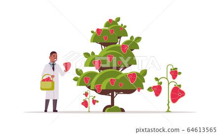 male scientist picking plant based vegetarian steak beyond meat from tree organic natural vegan food concept horizontal full length 64613565