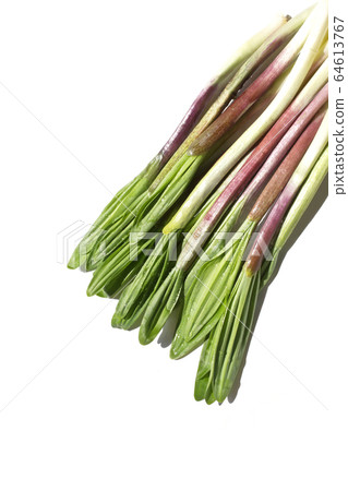 Ginger garlic 64613767