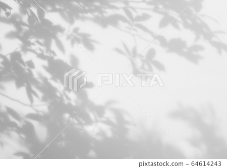 葉子陰影和陽光的形象 葉子陰影和陽光的形象 64614243