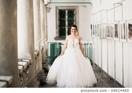 Beauty portrait of bride wearing fashion wedding dress with feathers with luxury delight make-up and hairstyle 64614468