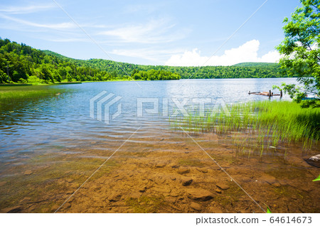 夏天的大瀨 夏天的大瀨 64614673