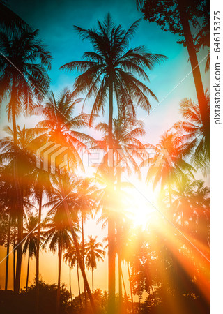 Silhouette coconut palm trees on beach at sunset. Silhouette coconut palm trees on beach at sunset. 64615375