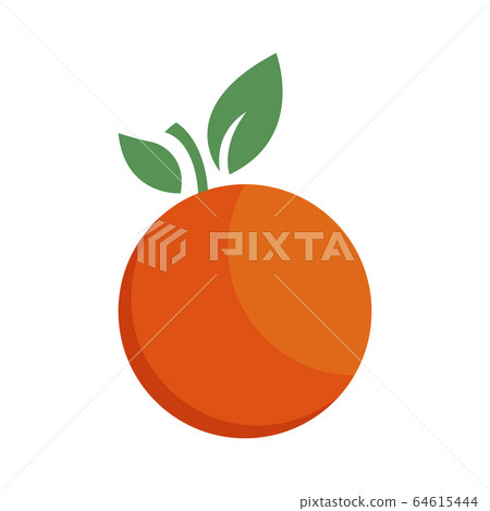 Orange citrus fruit icon bright art vector Orange citrus fruit icon bright art vector 64615444
