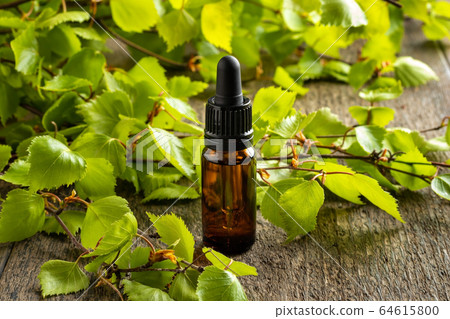 A dark bottle of essential oil with young birch A dark bottle of essential oil with young birch 64615800