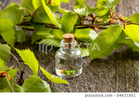 A bottle of essential oil with birch branches A bottle of essential oil with birch branches 64615801