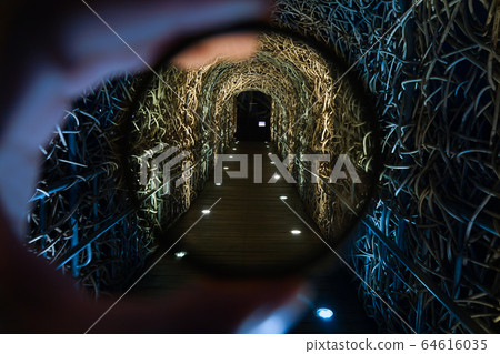 盡頭 盡頭 64616035