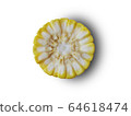 Half of the corn on the white background 64618474