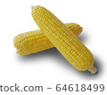 Corn on the white background 64618499