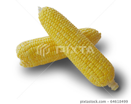 Corn on the white background Corn on the white background 64618499