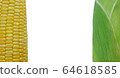 Corn isolated on white background 64618585
