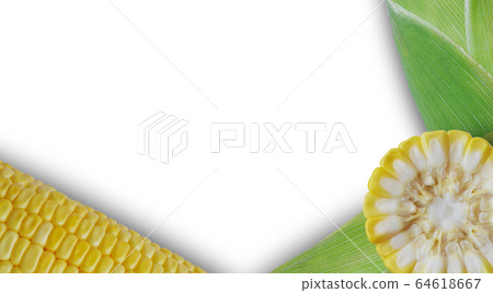 Fresh corn on white background Fresh corn on white background 64618667