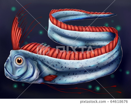 Oarfish Oarfish 64618676