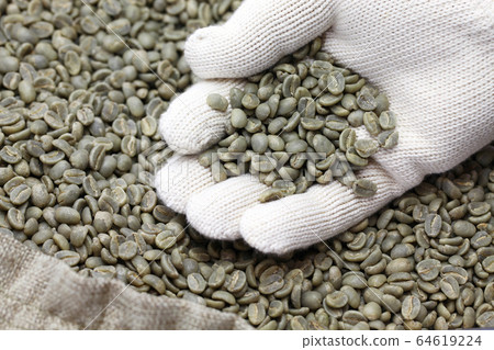 咖啡青豆 64619224