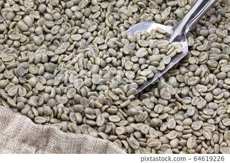 咖啡青豆 64619226