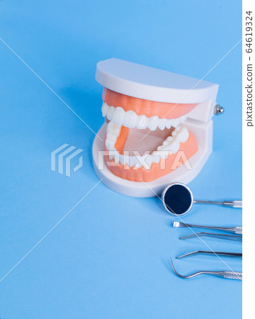 Close up macro shoot of teeth model with dental 64619324