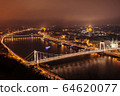 Panoramic view of evening Budapest from Gellert Hill. 64620077